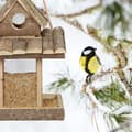 Miniatyrbild 5 av 6: Relaxdays Fågelmatare, träskydd, hängande koja, fågelbo, trädgård, HxLxP 25 x 17,5 x 16 cm, natur