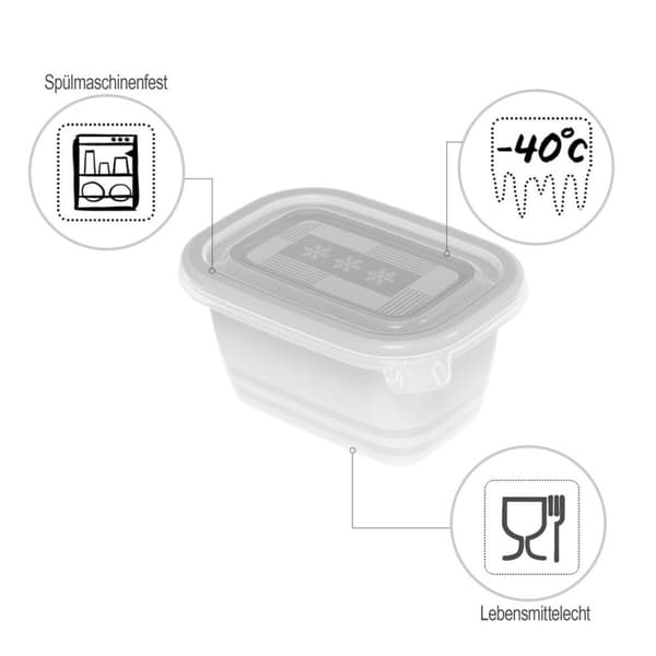 Cat Feeder Rotho Transparent (6 antal)