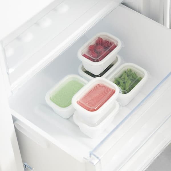 Kat Feeder Rotho Gennemsigtig (6 enheder)