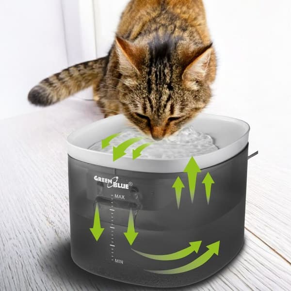 Kat Feeder Greenblue GB392 Grå