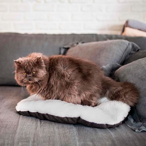 Ferplast RELAX F Bomulls- och plyschkudde för hundar och katter. Olika storlekar. 55/4 - 55 x 36 cm - Grå