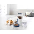Miniatyrbild 3 av 3: Panasonic Foderautomat för husdjur med intelligent app-styrning Matdispenser vit, blå 1 st(s)
