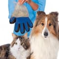 Pikkukuva 1 / 2: TrueTouch - Brush käsine - Dog - Kissa Oikealla (sininen)