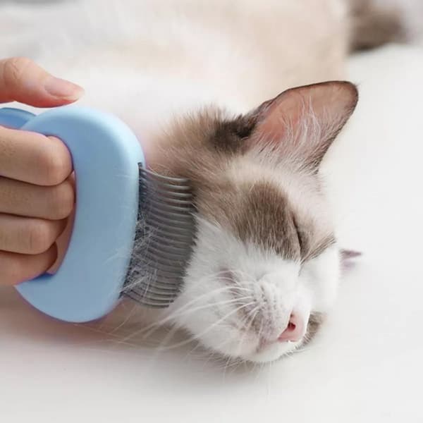 Husdjurskam med Kattdesign - Blå