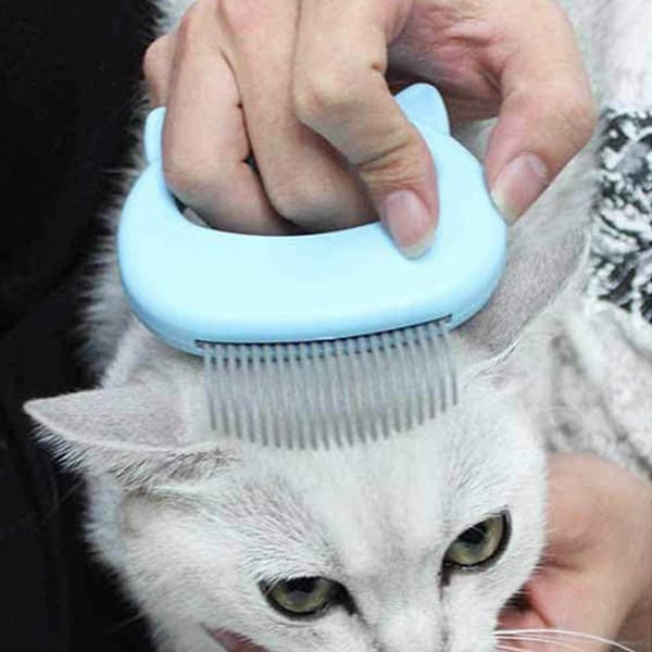 Husdjurskam med Kattdesign - Blå