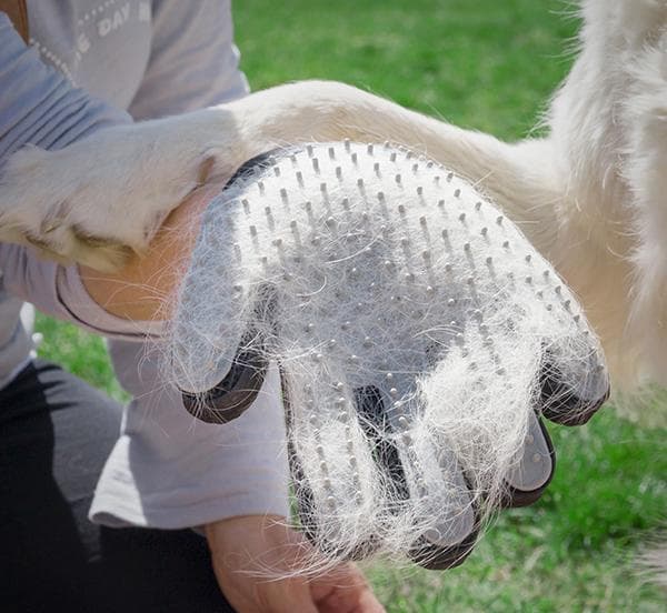 Pälsborttagare Handske / Kam / Hundkam för Hund / Tovskärare