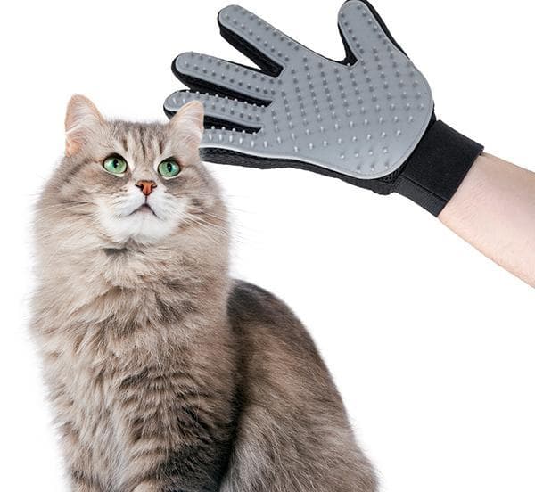 Pälsborttagare Handske / Kam / Hundkam för Hund / Tovskärare