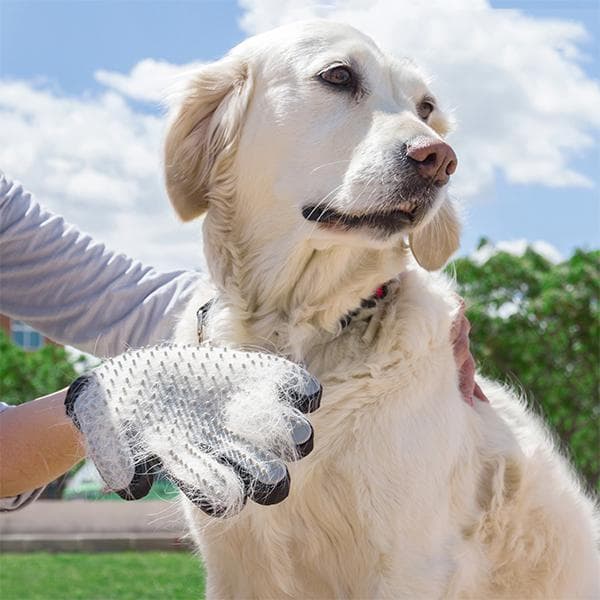 Pälsborttagare Handske / Kam / Hundkam för Hund / Tovskärare