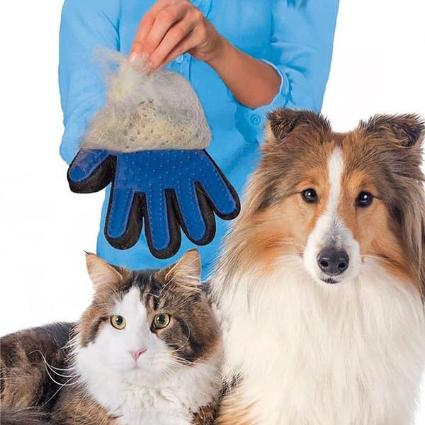 Hundebørste - Børste for Pels - Hund & Katt Børstehanske