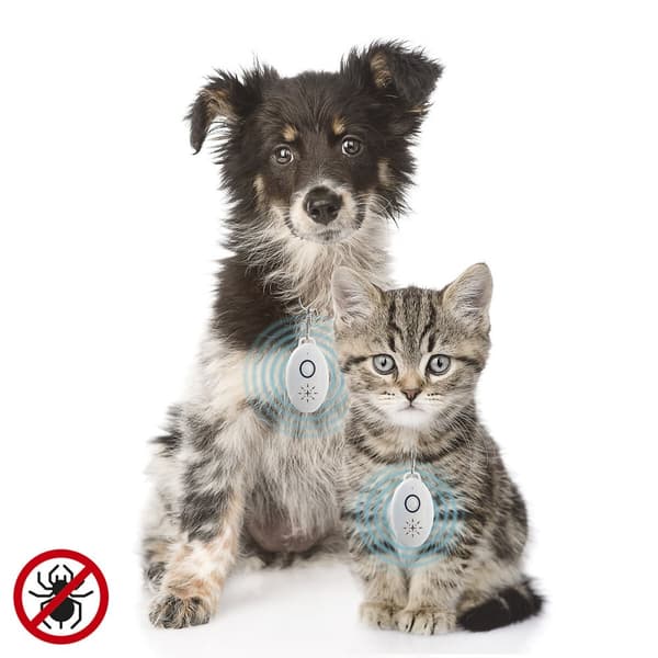 Ladattava ultraääni loiskarkotin lemmikille PetRep InnovaGoods