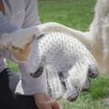 Miniatyrbillede 2 af 8: Børste og massagehandske til kæledyr Relpet InnovaGoods