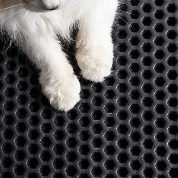 Måtte til kattebakke Clikatt InnovaGoods