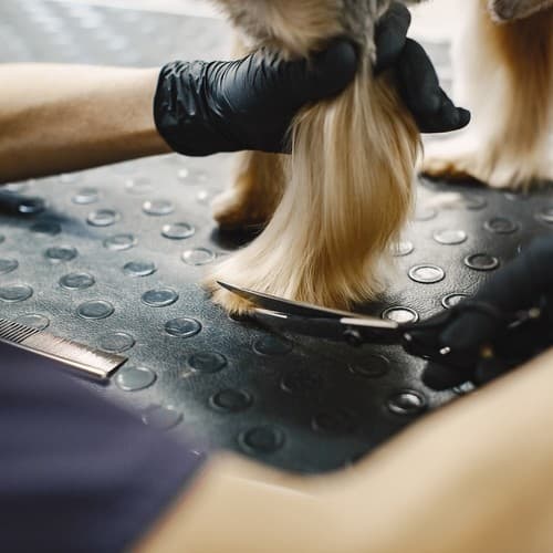 Hundeklipper Kit - Saks for hunder