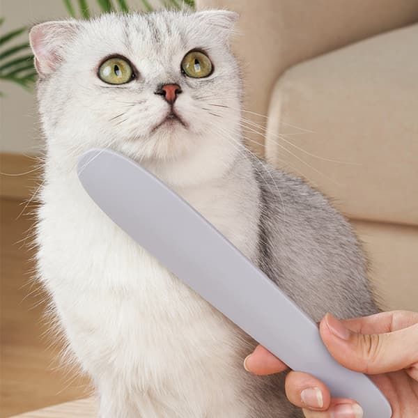 INF Kattungekam