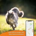 Miniatyrbild 4 av 6: Anti-förlust lokaliserar Weenect Weenect XS GPS Katt Vit
