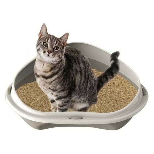 Kattebakke Georplast GP10535 50 x 40 x 17 cm (7 enheder)