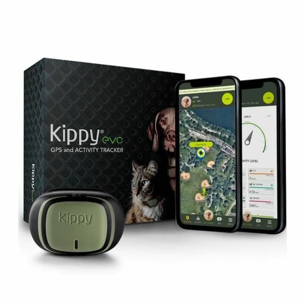 Häviötön paikallistin KIPPY