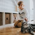 Miniatyrbillede 4 af 4: Hundebørste Hunter Extra Soft