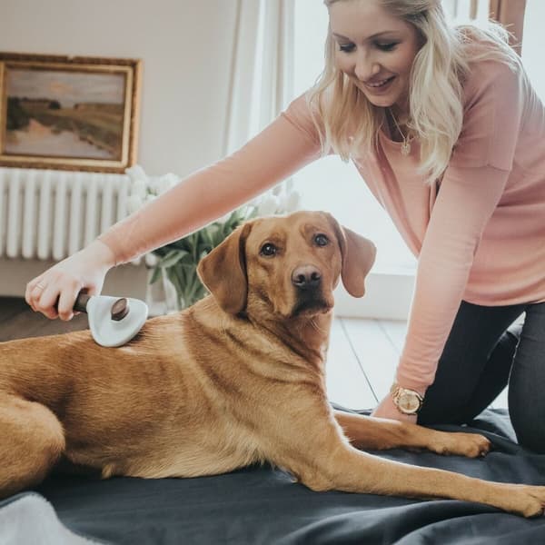 Käherrysharja Hunter Itsepuhdistuva