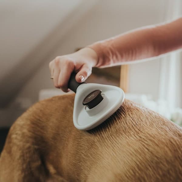 Käherrysharja Hunter Itsepuhdistuva