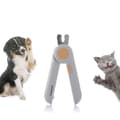 Miniatyrbillede 9 af 11: Negleklipper med LED til kæledyr Clipet InnovaGoods