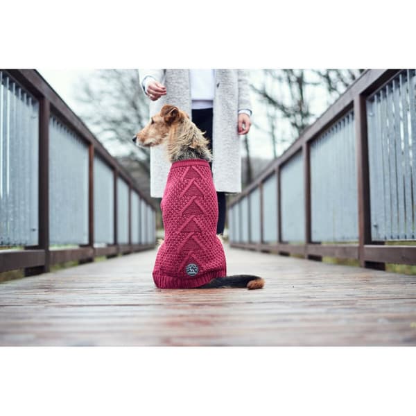 Hundtröja Hunter Malmö Röd Bordeaux
