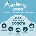 Pikkukuva 8 / 9: Multi-Clicker Coachi