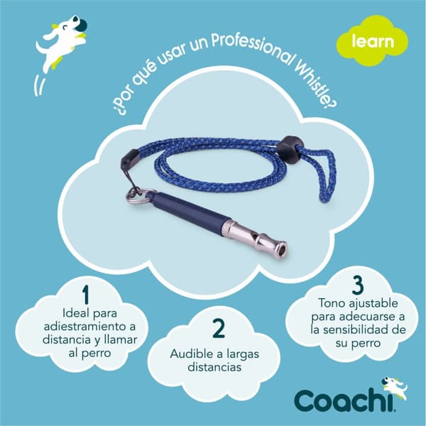 Vihellyspilli Coachi Sininen