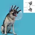 Miniatyrbillede 3 af 3: Elizabethan hundehalsbånd KVP EZ Clear (25-32 cm)