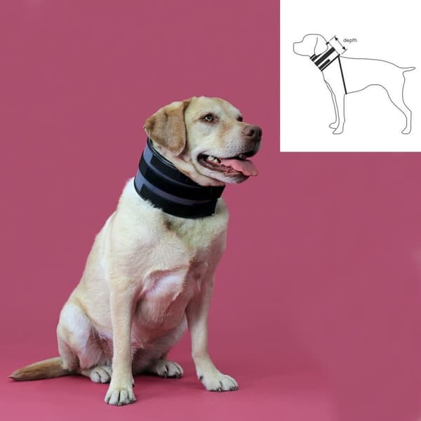 Cervikal krave til hunde KVP Sort (20-64 cm)