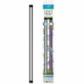 Miniatyrbild 1 av 3: LED Ljus Ciano Cla20 1,5 W