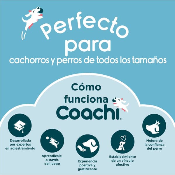 Vihellyspilli Coachi
