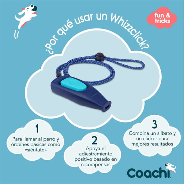 Vihellyspilli Coachi