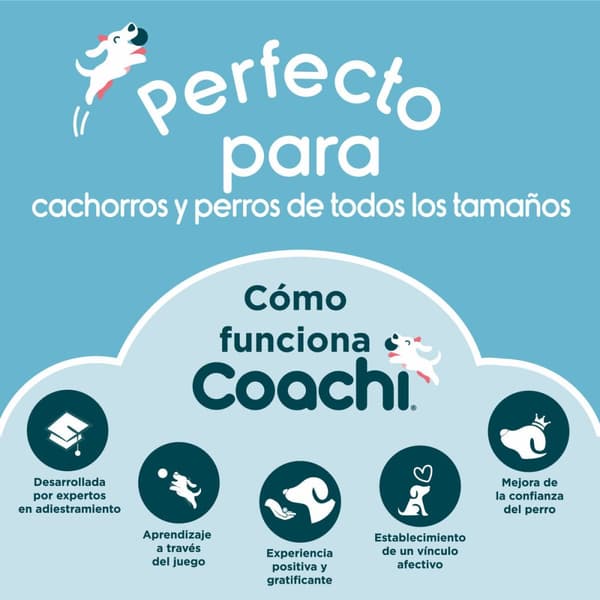 Vihellyspilli Coachi