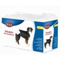 Miniatyrbilde 1 av 3: Bleier Trixie 23635 Hund