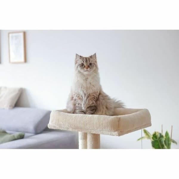 Klösträd för katter Kerbl Beige