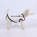 Miniatyrbillede 2 af 7: Hund T-shirt Disney Pride - XS