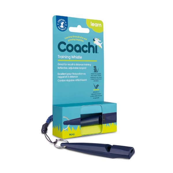 Fløyte Coachi