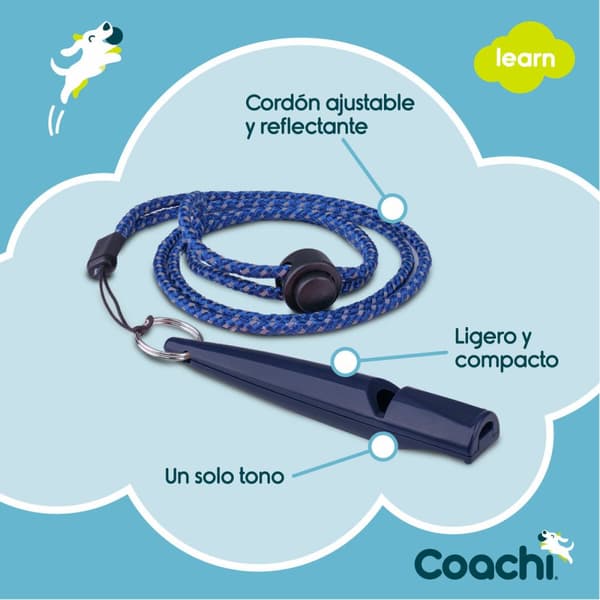 Fløyte Coachi