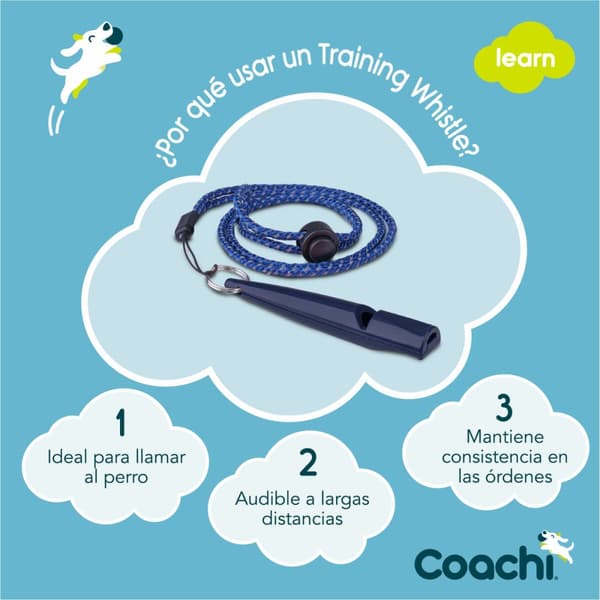 Fløyte Coachi