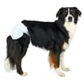 Miniatyrbillede 2 af 3: Bleer Trixie 23634 Hund M/L