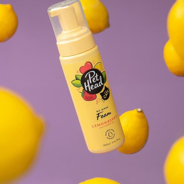 Tørshampoo Pet Head Felin' Good Skum Kat (200 ml)