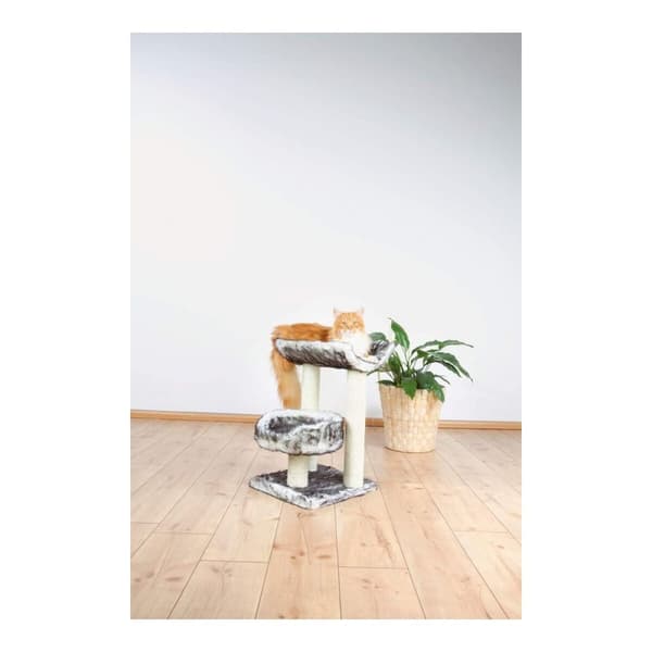 Raapimapuu kissalle Trixie 44567 Puut Sisal Musta Ø 8 cm 62 cm 36 x 36 cm