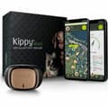 Pikkukuva 1 / 5: Häviötön paikallistin KIPPY