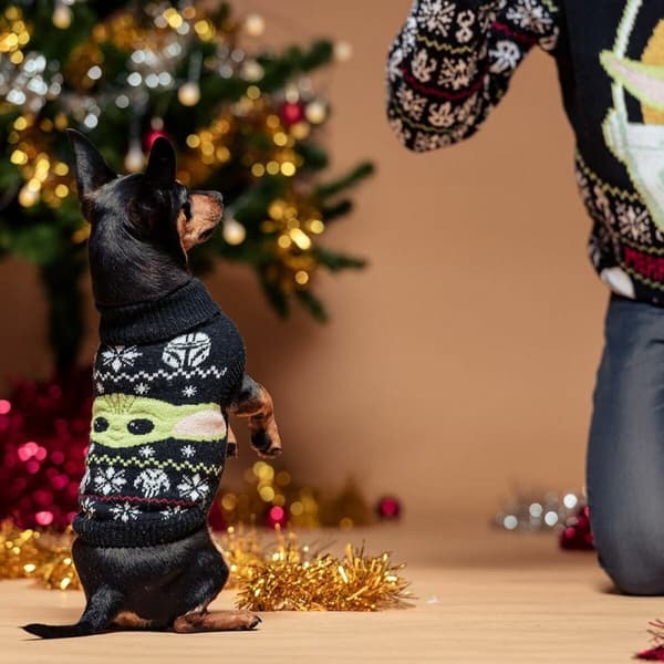 Sweater til hund The Mandalorian - XXS