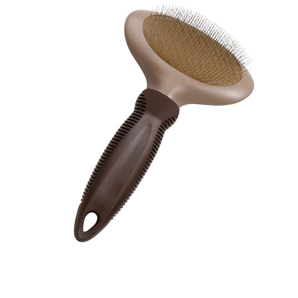 GLORIA PETS CARDA oval small 1 u