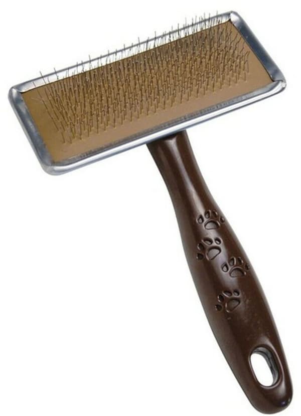 Dog Brush Carda L Gloria 11