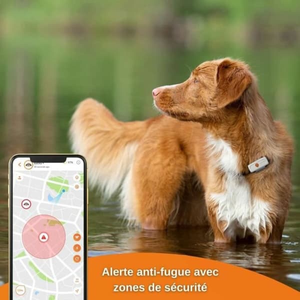Häviötön paikallistin Weenect Weenect XS GPS Valkoinen