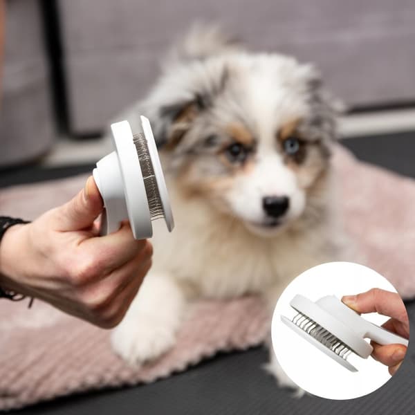 SELVRENSENDE BØRSTE TIL HUNDE, LANGHÅRET OG KORTHÅRET KAT