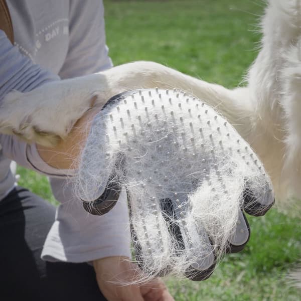 BEGAGNAD Handske för att Borsta och Massera Husdjur från Relpet InnovaGoods Silikon (Renoverade A)